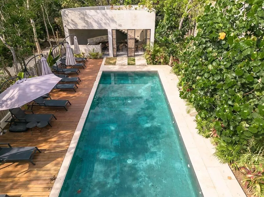 New 2 Bedroom 2 Badrooms Pool Front Concierge Tulum Apartment